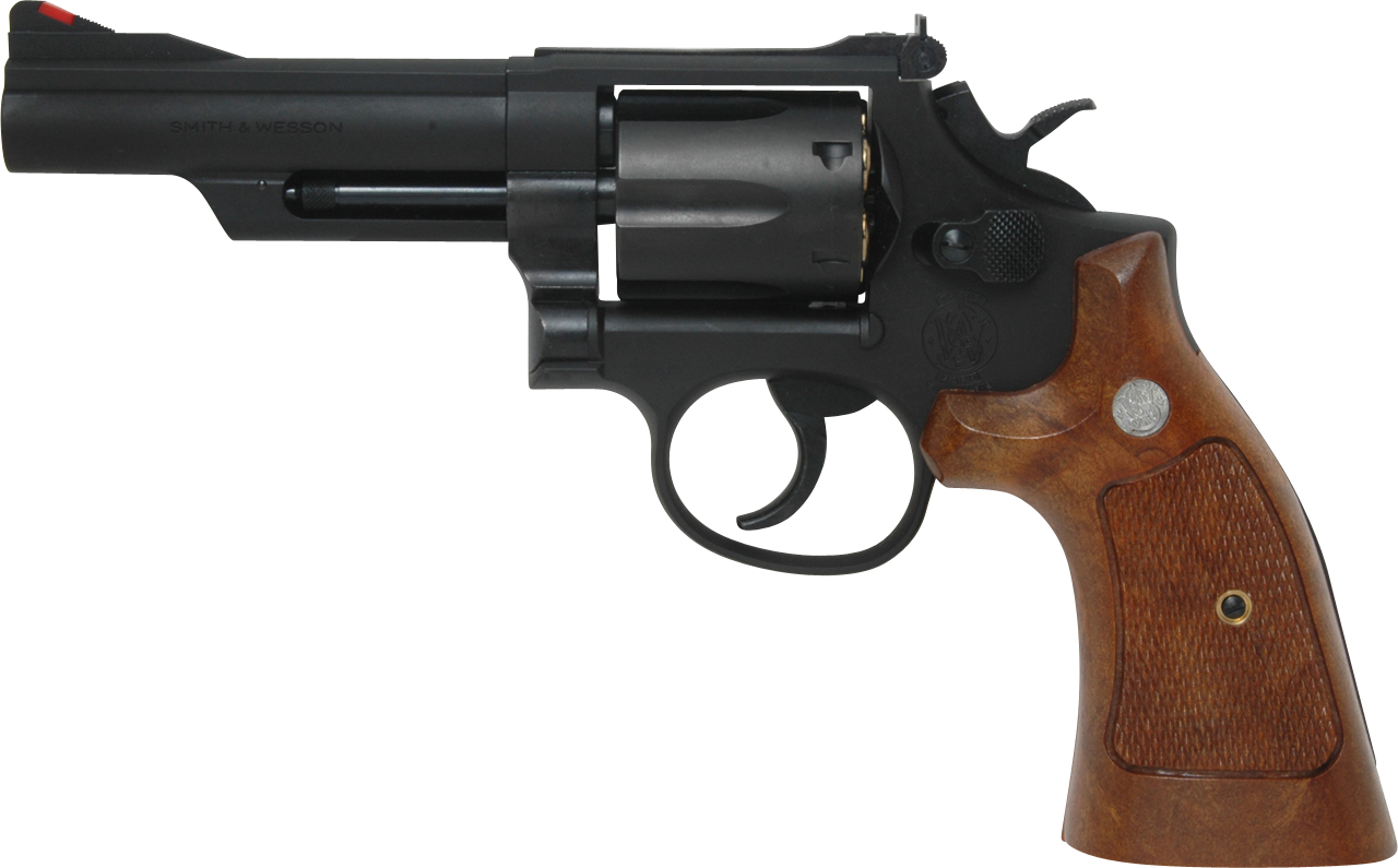 S&W M19