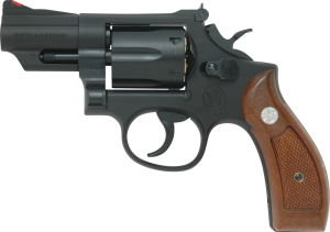 S&W M19