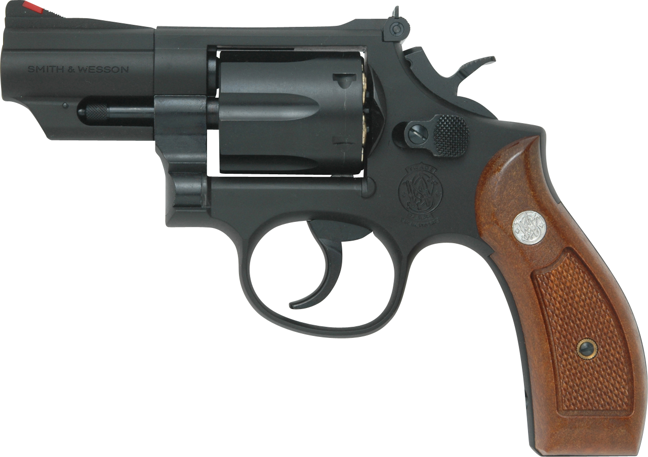 S&W M19