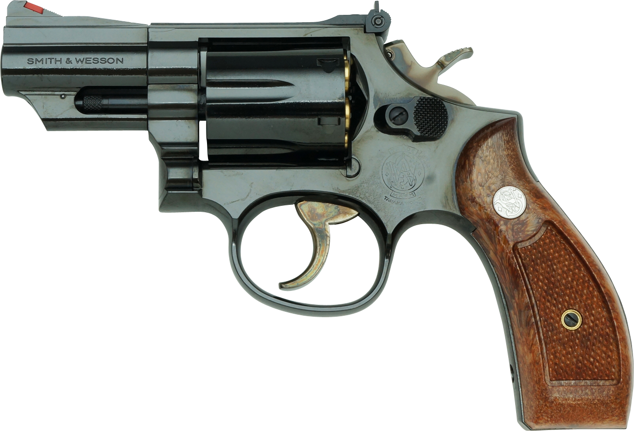 S&W M19