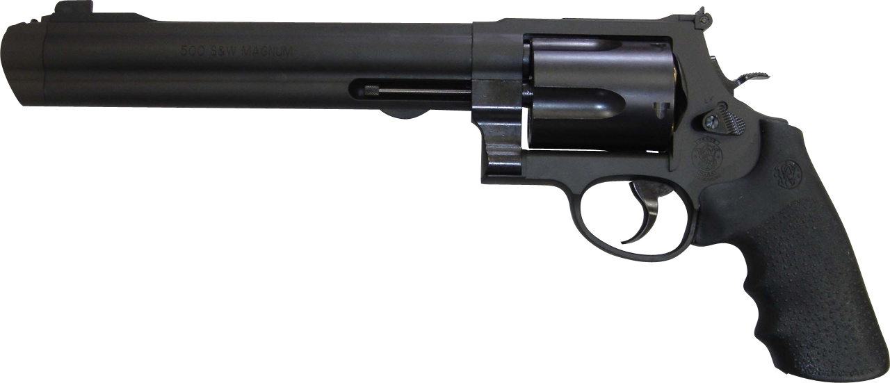 S&W M500