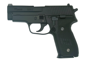SIG P228 Evolution 2 ALL Heavy Weight